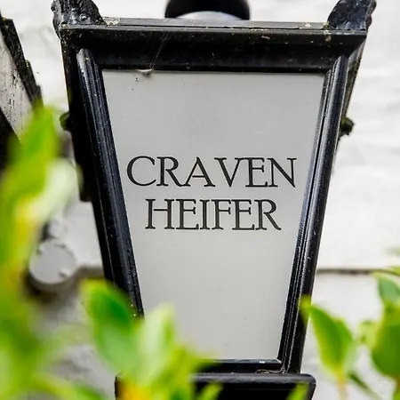 Craven Heifer Ingleton